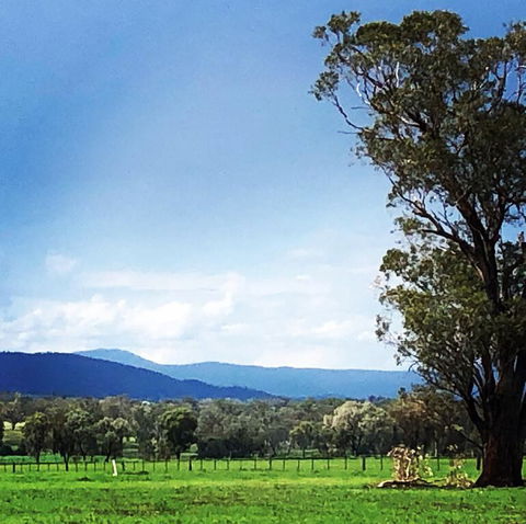 Fourjay Farmstay - Australian Directory 0