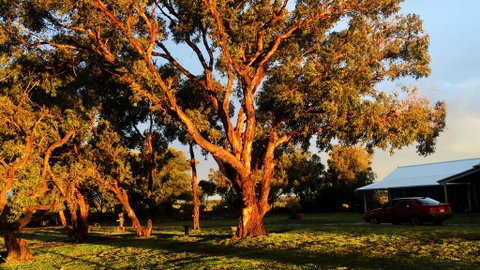 French Island Cottage - Australian Directory 1