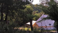 Book Zeehan Accommodation Vacations Australian Directory Australian Directory