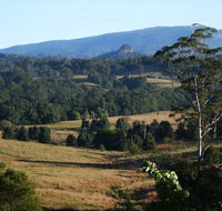 Grey Gum Lodge - Australian Directory