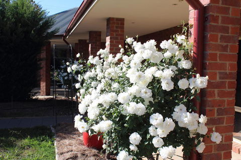 Gundaroo Manor Bed & Breakfast - Australian Directory 3