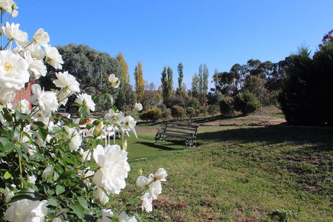 Gundaroo Manor Bed & Breakfast - Australian Directory 2