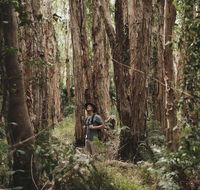 Habitat Noosa - Australian Directory