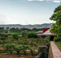Hanging Tree Wines - Australian Directory