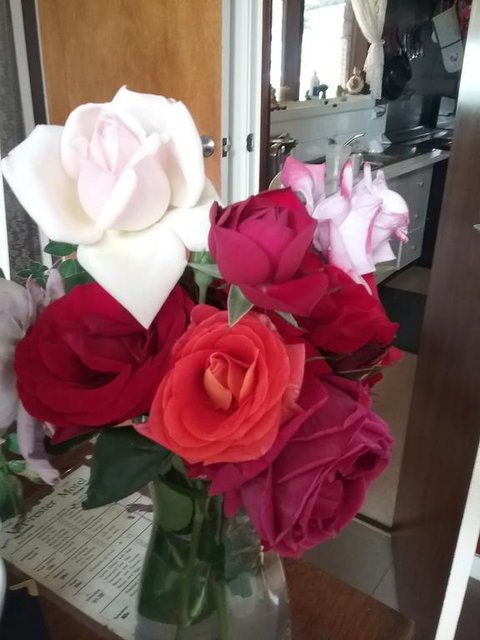 Heywood Motor Inn - Australian Directory 2