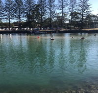 Jaspers Apartments - Australian Directory