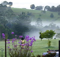 La Dolce Vita - Australian Directory