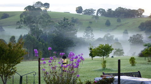 La Dolce Vita - Australian Directory 0