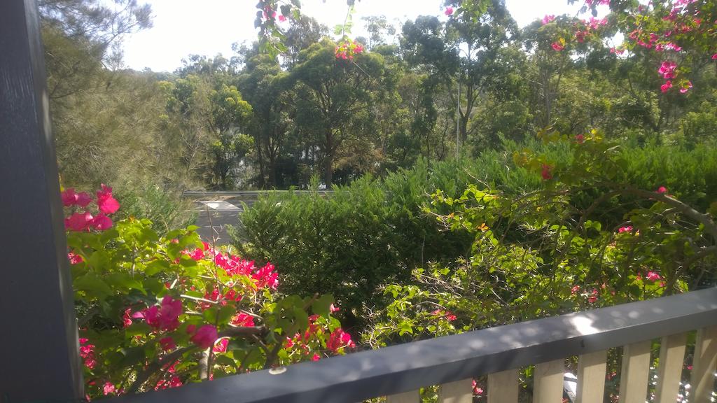 Linley Point NSW Australian Directory