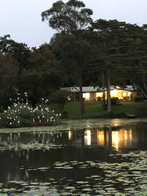 Maleny Lake Cottages-Guesthouse - Australian Directory 3