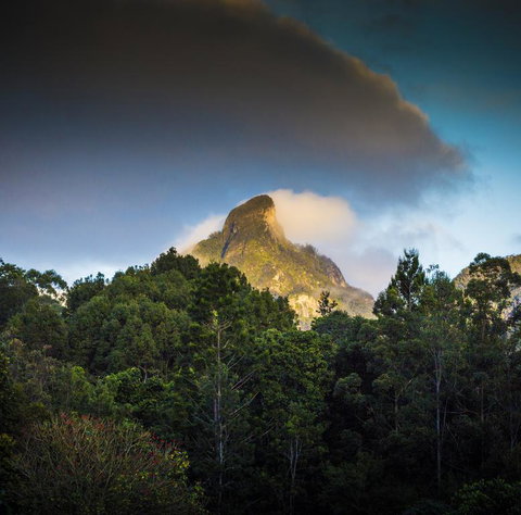Mavis's Cabins @ Mt Warning - Australian Directory 1
