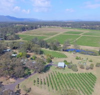 McCaffrey's Estate - Australian Directory