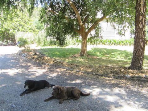 Molenda Lodge Farm Let - Australian Directory 3