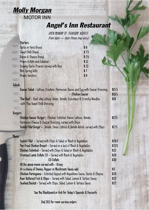 Molly Morgan Motor Inn - Australian Directory 3