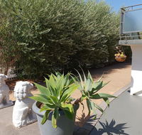 Mt.Lawley superb 2 BR Apartment Ideally located 5 - Australian Directory