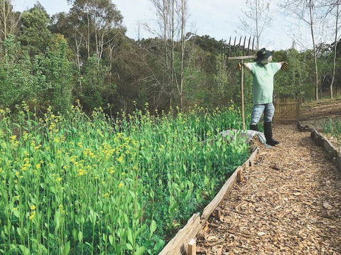 Mylor Farm, Adelaide Hills - Australian Directory 1