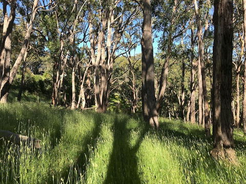 Mylor Farm, Adelaide Hills - Australian Directory 0