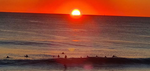 Scarborough Beach Front Resort - Shell Ten - Australian Directory 23