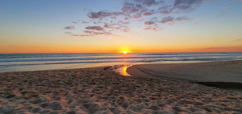 Scarborough Beach Front Resort - Shell Ten - Australian Directory 15