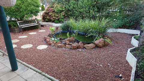 The Cottage On George Street - Australian Directory 19