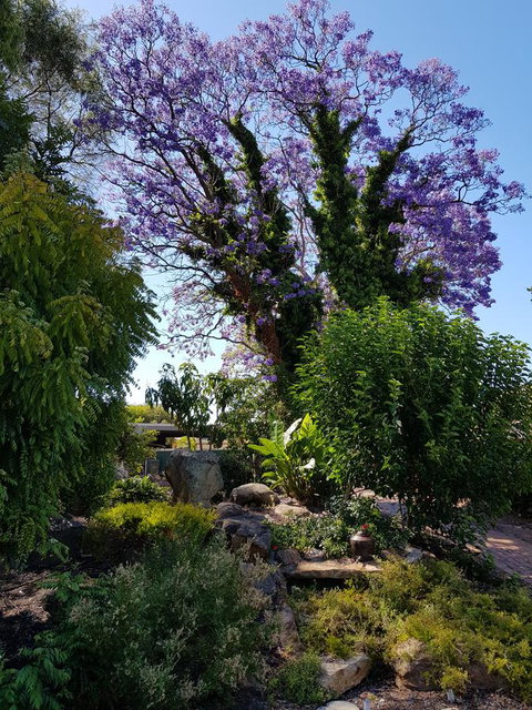 Jacaranda Hideaway Bed & Breakfast - Australian Directory 10