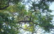 Jacaranda Hideaway Bed & Breakfast - thumb 0