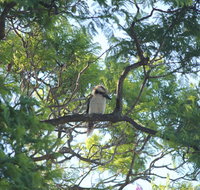 Jacaranda Hideaway Bed  Breakfast - Australian Directory