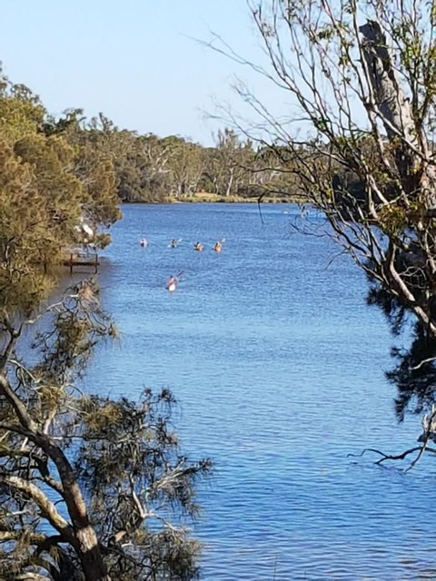 Jacaranda Hideaway Bed & Breakfast - Australian Directory 19