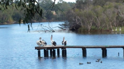 Jacaranda Hideaway Bed & Breakfast - Australian Directory 18