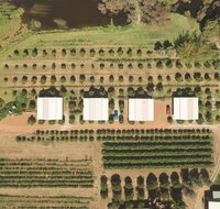 Swan Valley Sisters - Australian Directory
