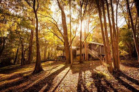 Riverglen Chalets - Australian Directory 0