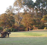 Riverside Retreat Chalets Walpole - Australian Directory