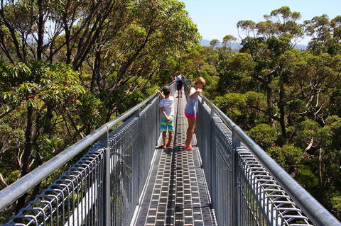 Bayside Villas - Australian Directory 16