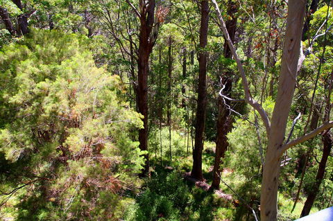 Bayside Villas - Australian Directory 5