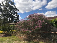 Book Cockburn Central Accommodation Vacations Australian Directory Australian Directory