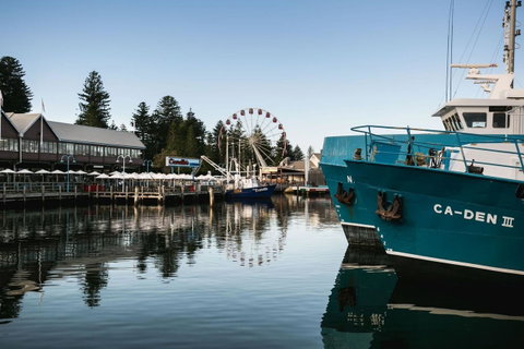 Oceanside 8 - Australian Directory 22