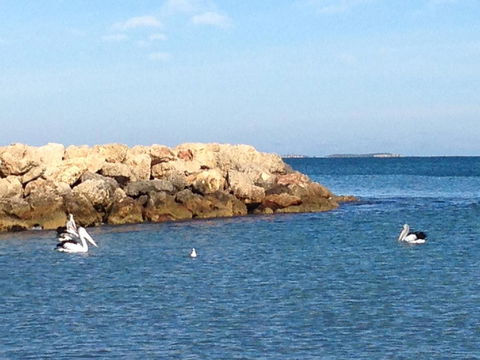 Gypsy Cottage - Australian Directory 13