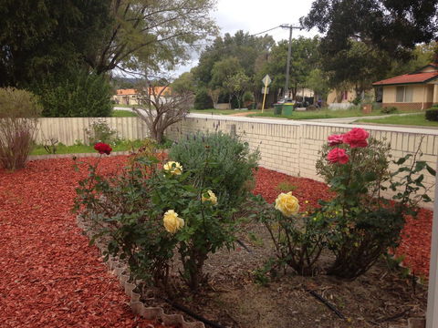 â˜… Stylish Family Home! â˜… - Australian Directory 1