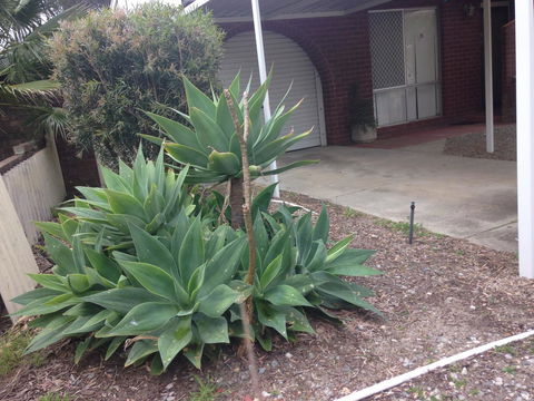 â˜… Stylish Family Home! â˜… - Australian Directory 2