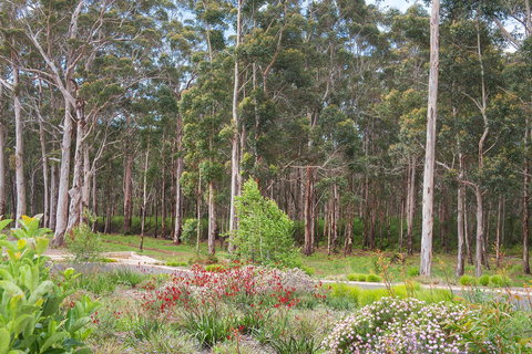 Churchill Studios - Australian Directory 9