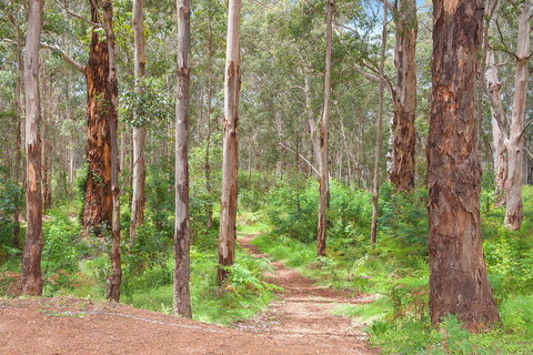 Churchill Studios - Australian Directory 8