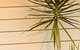 The Billi Resort - thumb 44
