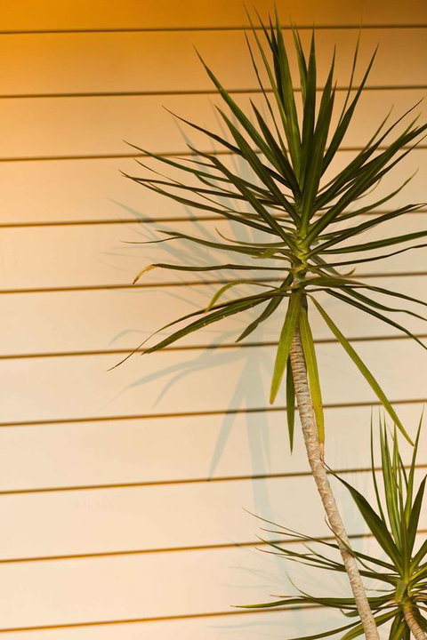 The Billi Resort - Australian Directory 44