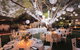 The Billi Resort - thumb 2