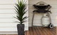 The Billi Resort - thumb 30