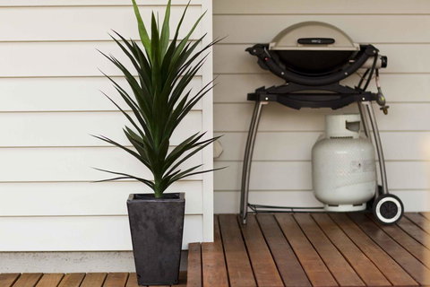 The Billi Resort - Australian Directory 30