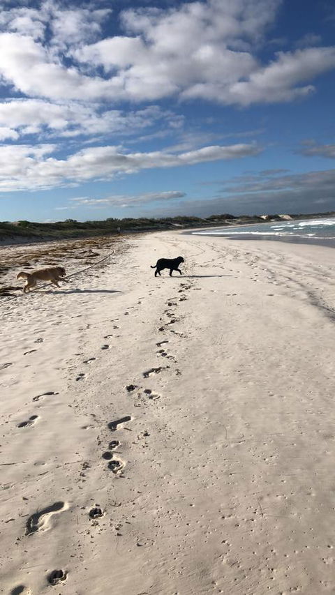 The Bothy Lancelin Family Retreat - Australian Directory 30