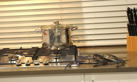 South Yunderup Holiday Rental - Australian Directory 12