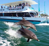 Belvedere Caravan Park - Australian Directory