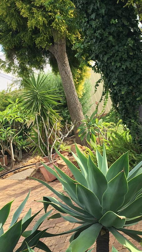 Armadale Cottage Bed & Breakfast - Australian Directory 1